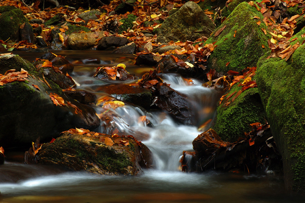 Herbstfarben