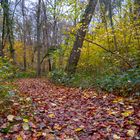 Herbstfarben