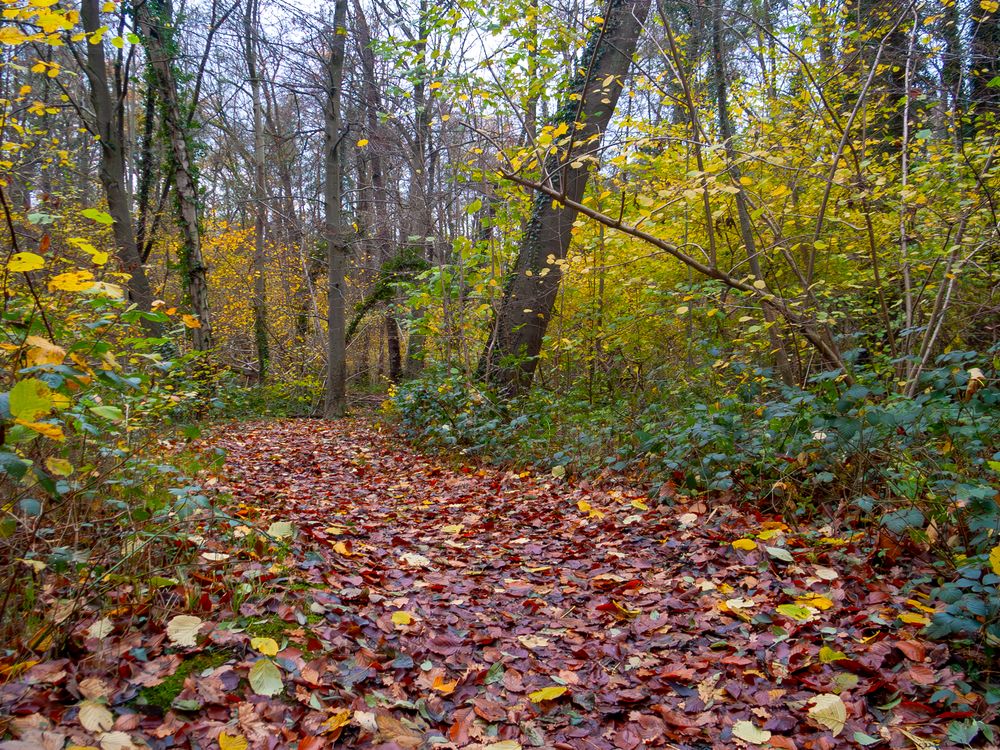 Herbstfarben