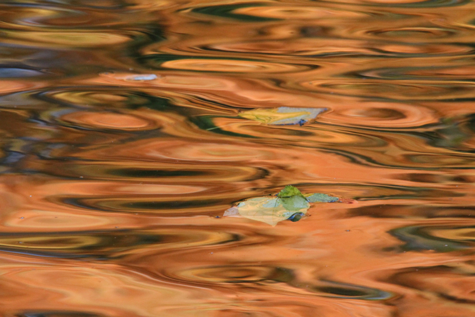 Herbstfarben