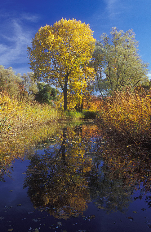 Herbstfarben