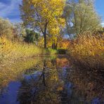 Herbstfarben