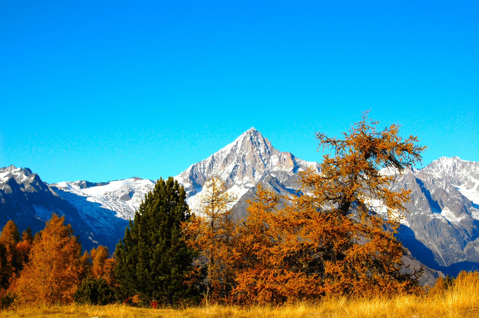 Herbstfarben