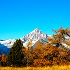 Herbstfarben