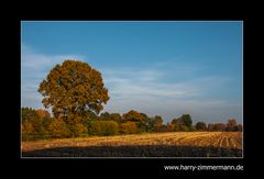 Herbstfarben