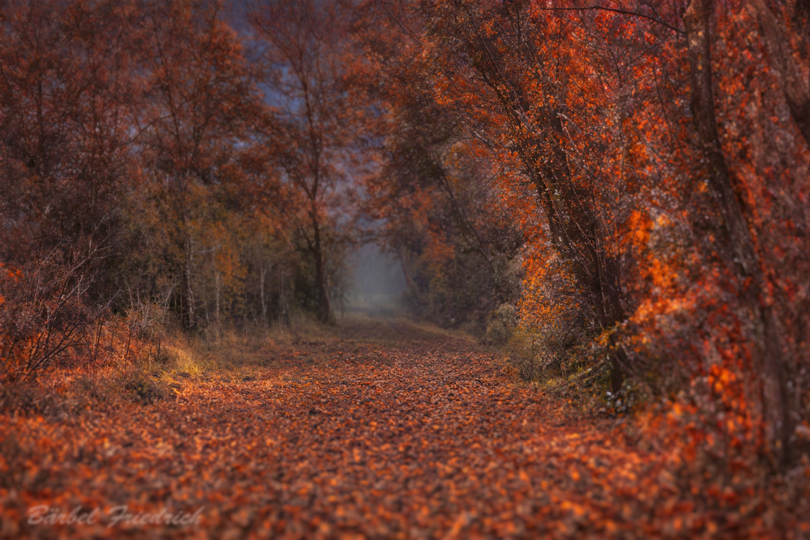 Herbstfarben