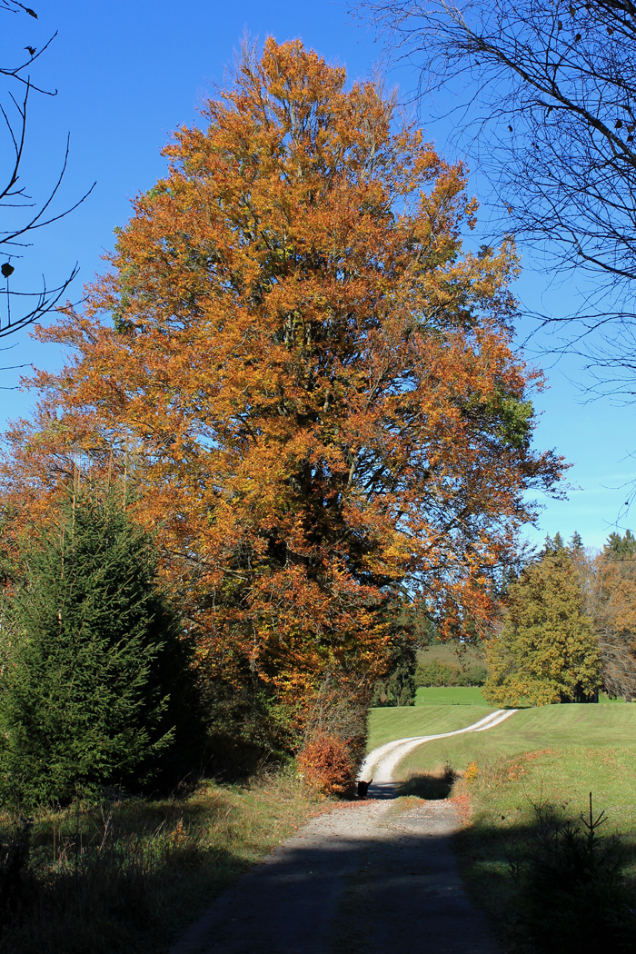 Herbstfarben