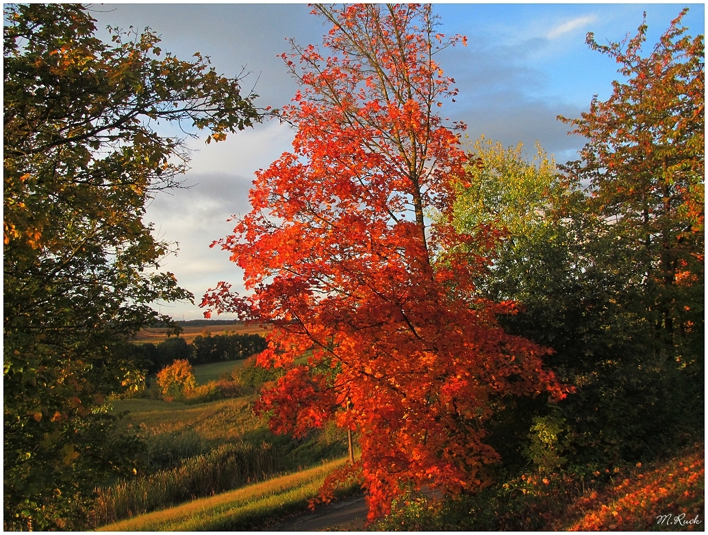 Herbstfarben ,