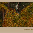 Herbstfarben