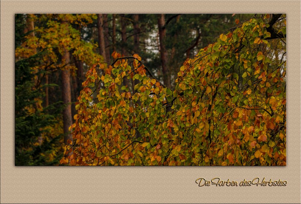 Herbstfarben