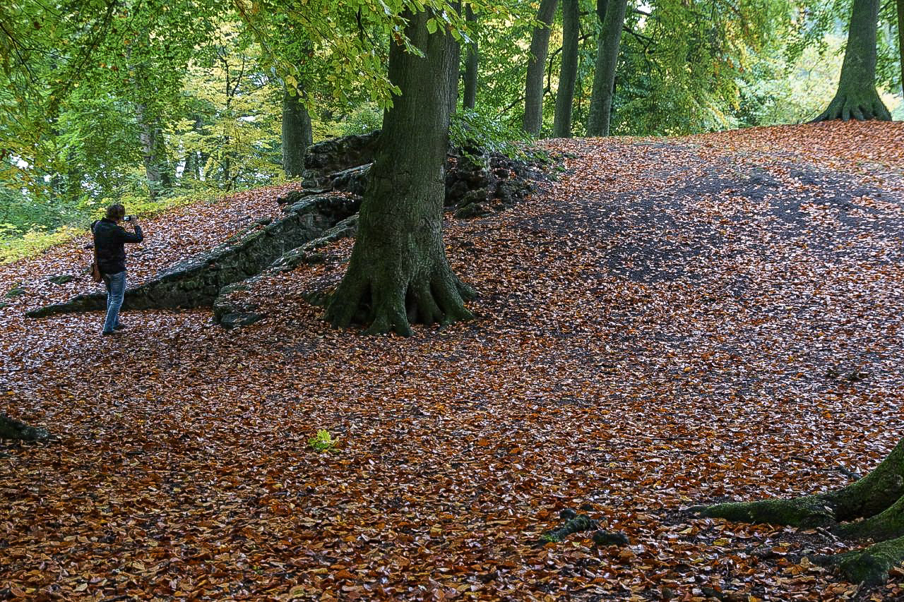 HERBSTFARBEN