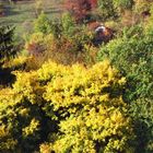 Herbstfarben