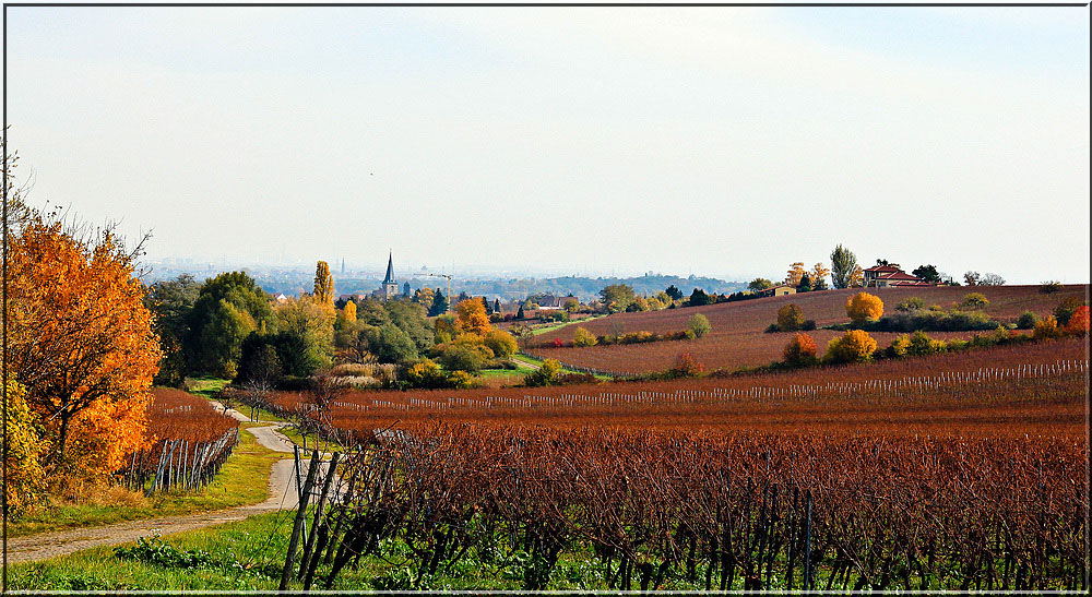 HERBSTFARBEN