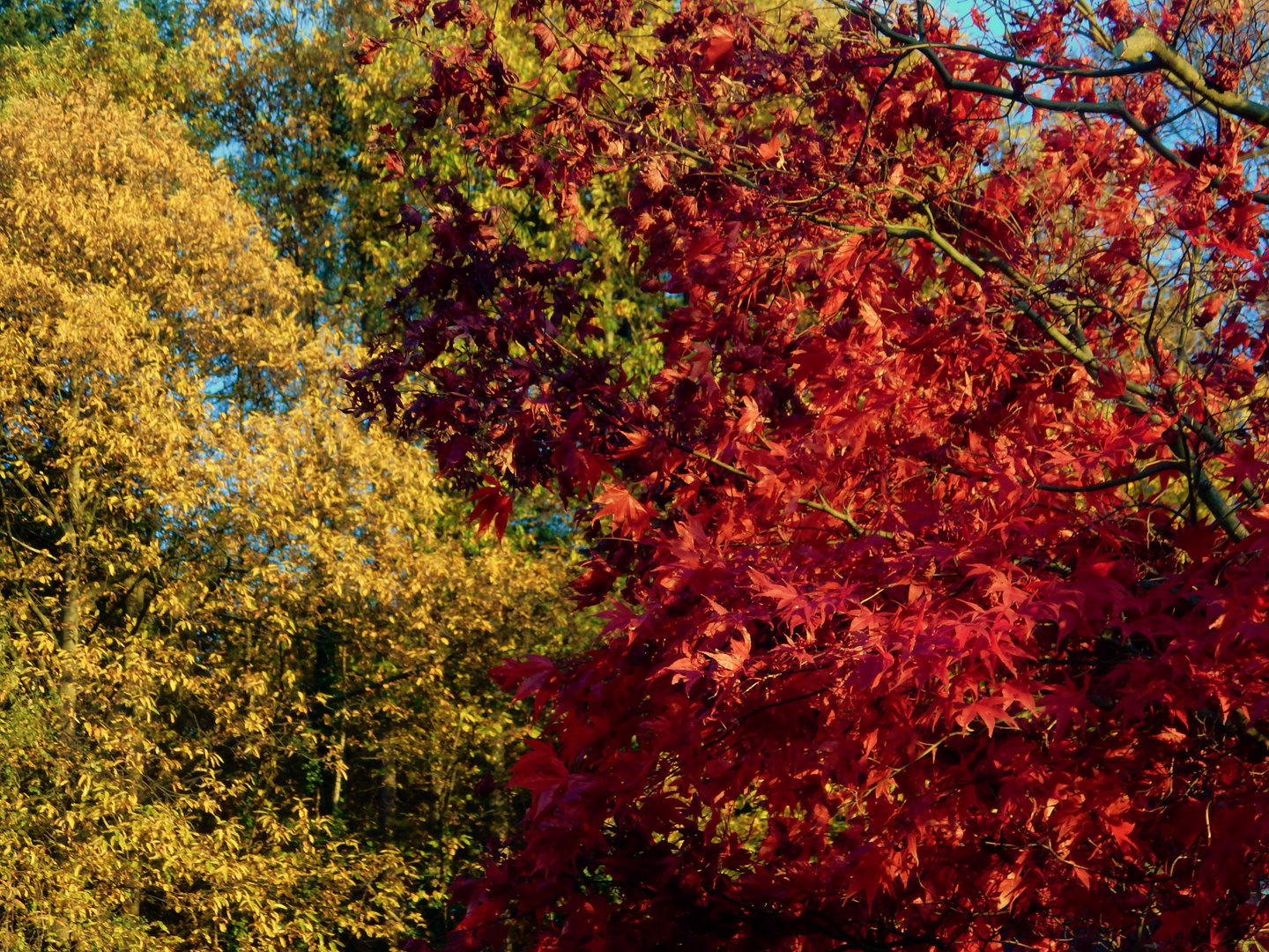 Herbstfarben