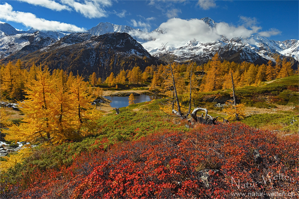 Herbstfarben