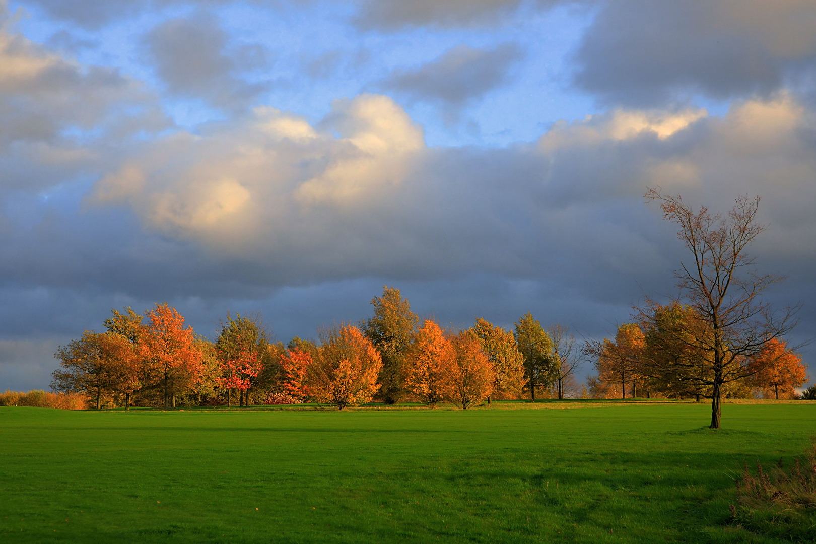 Herbstfarben