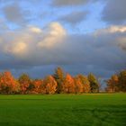 Herbstfarben