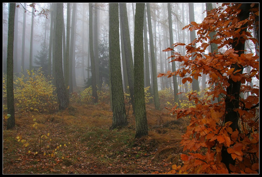 Herbstfarben