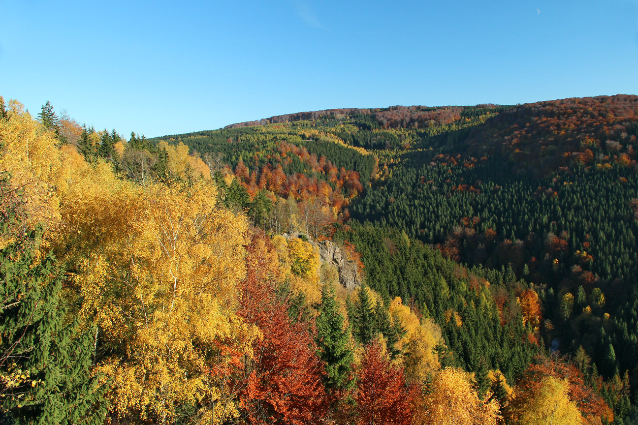 Herbstfarben