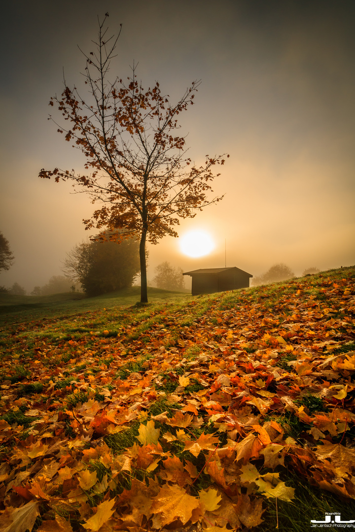 Herbstfarben