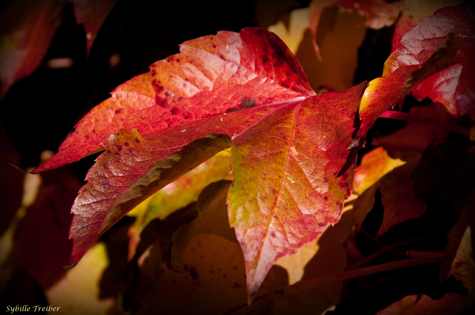 Herbstfarben