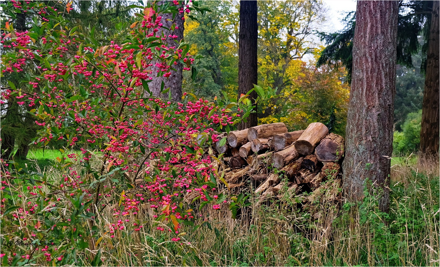 Herbstfarben