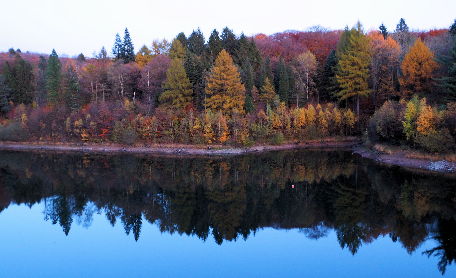 Herbstfarben....