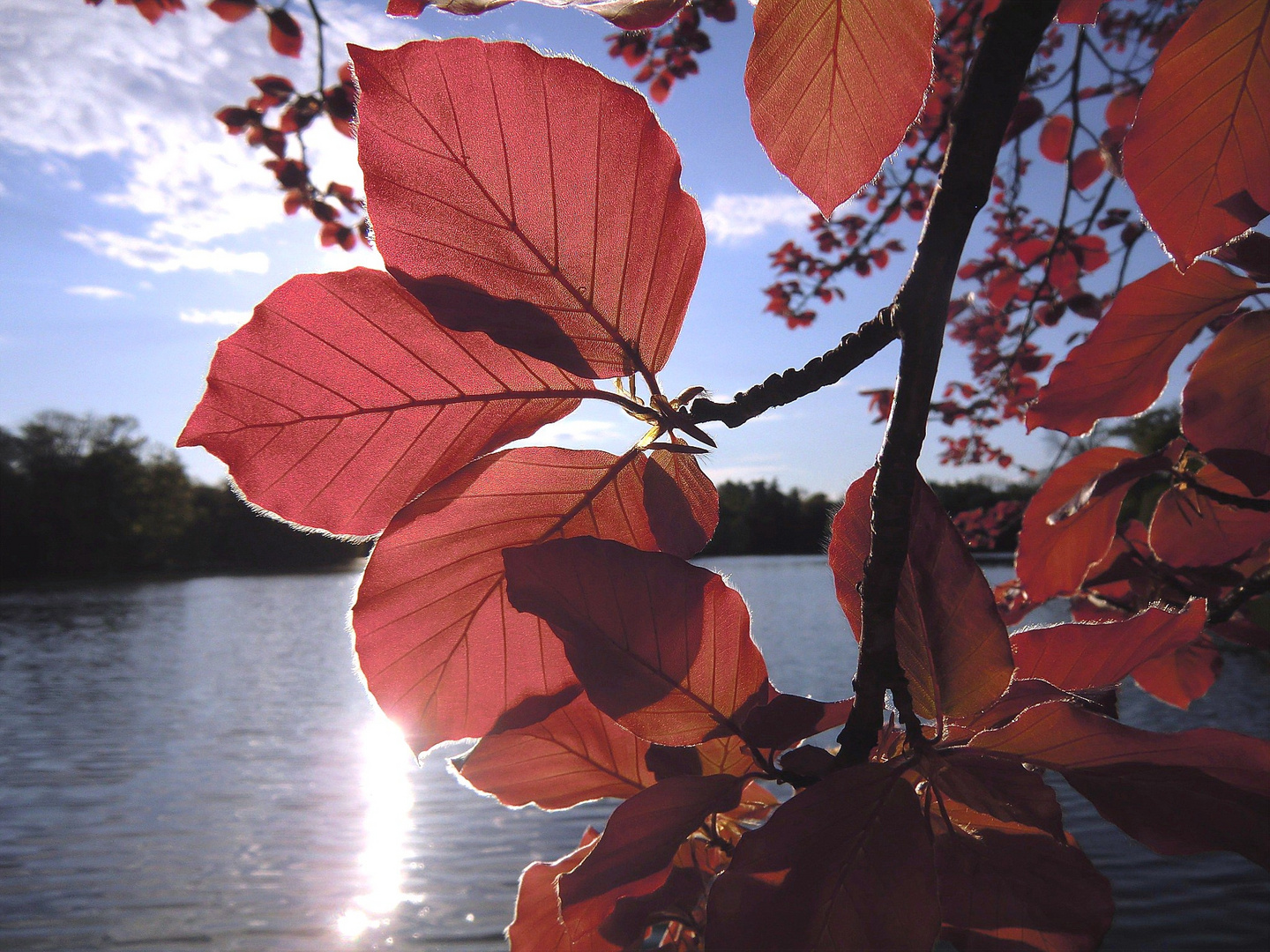 Herbstfarben