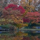 Herbstfarben