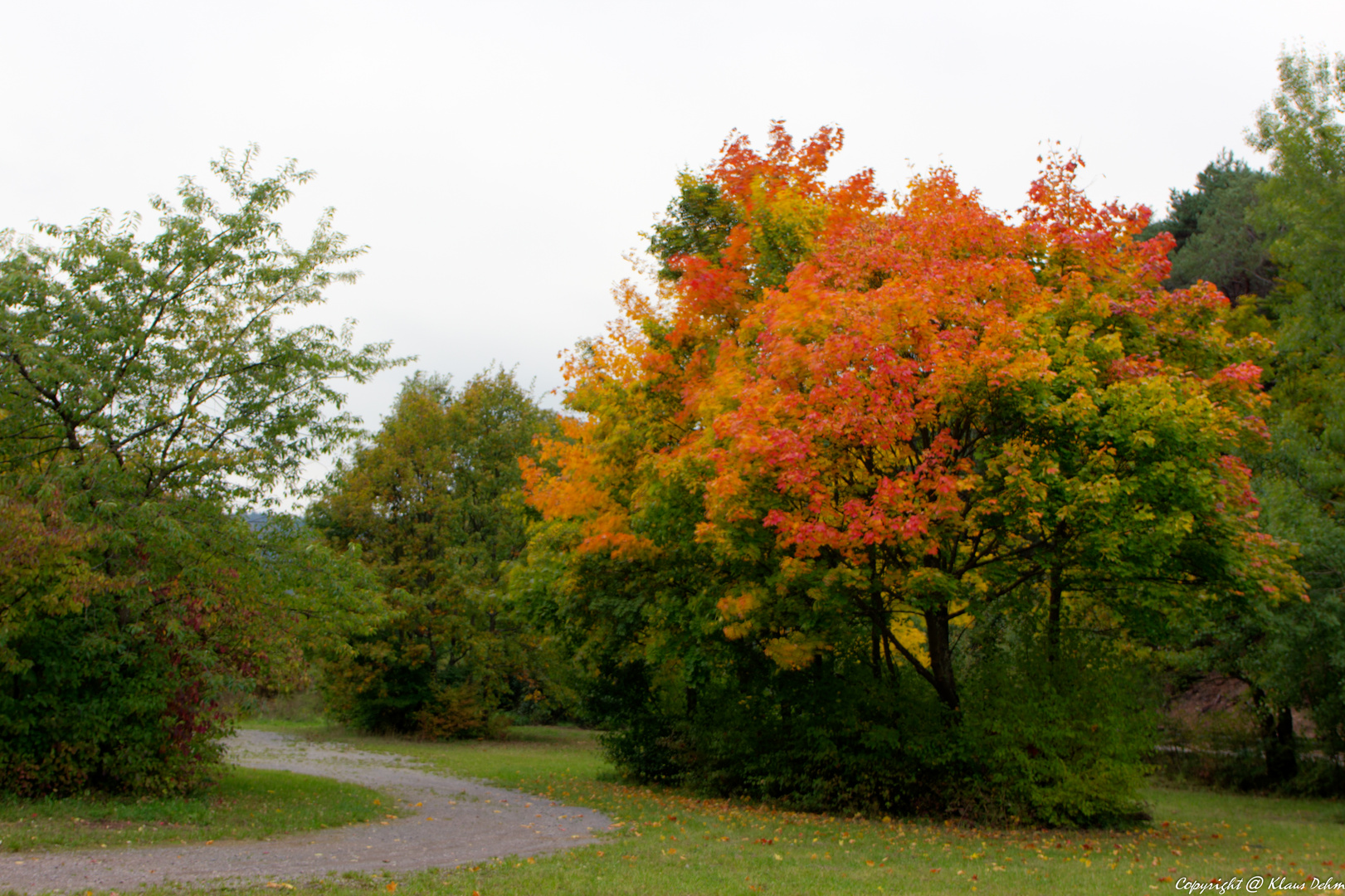 Herbstfarben