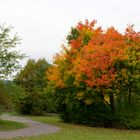 Herbstfarben