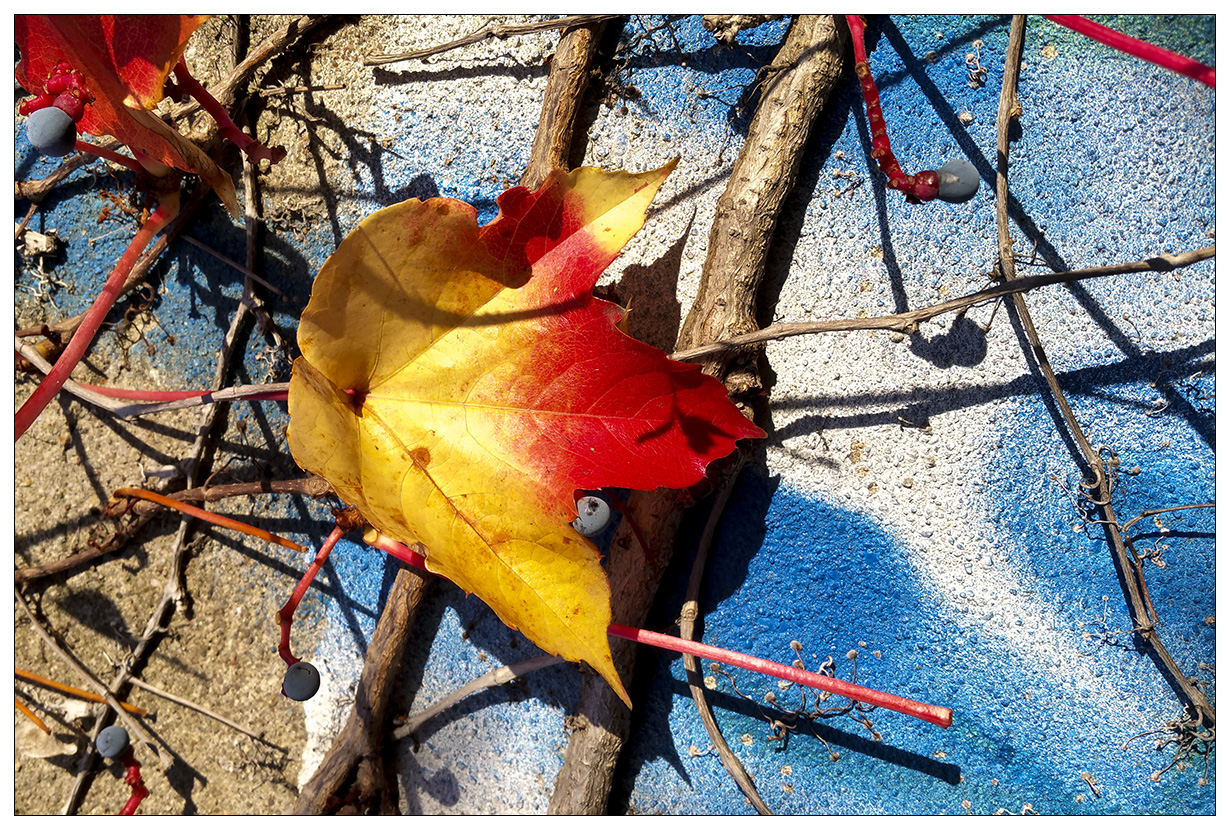 Herbstfarben