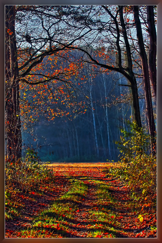 Herbstfarben