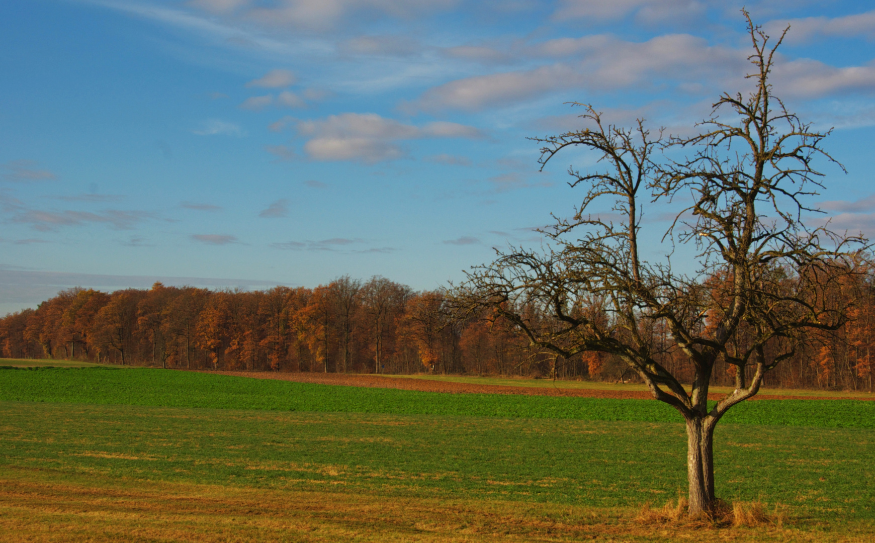 Herbstfarben