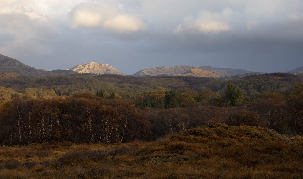 Herbstfarben