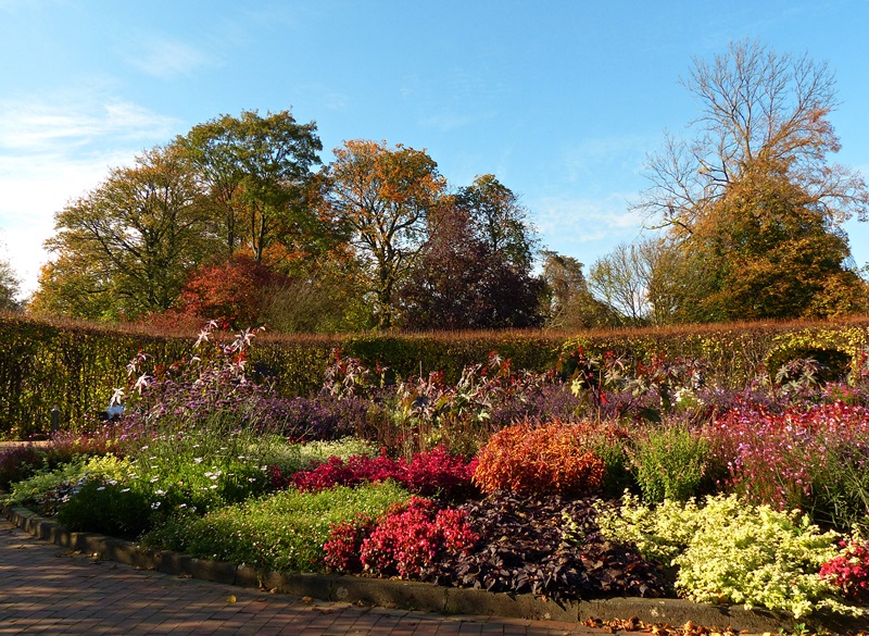 Herbstfarben !