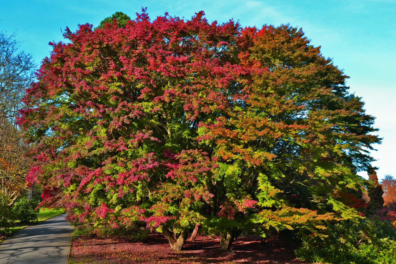 Herbstfarben