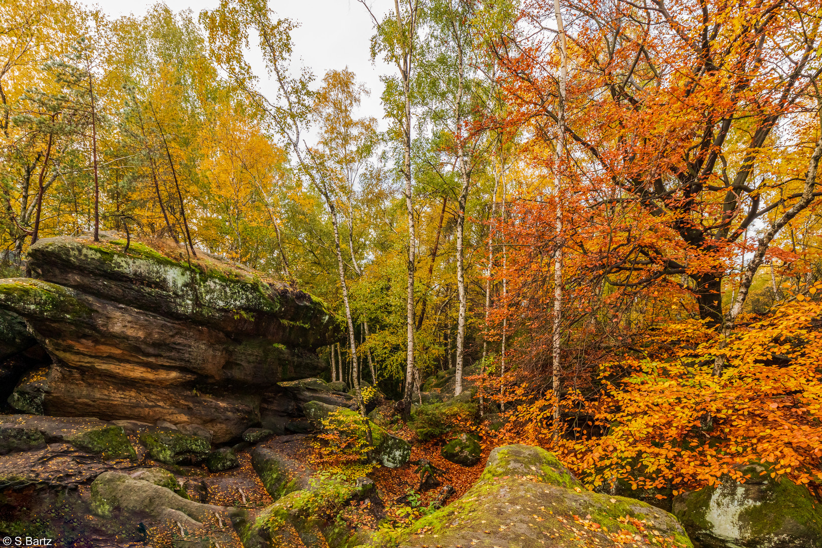 Herbstfarben (7)