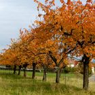 Herbstfarben 7