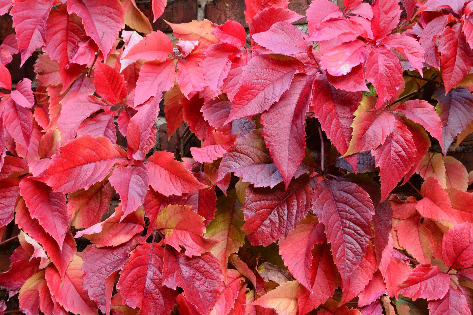 Herbstfarben