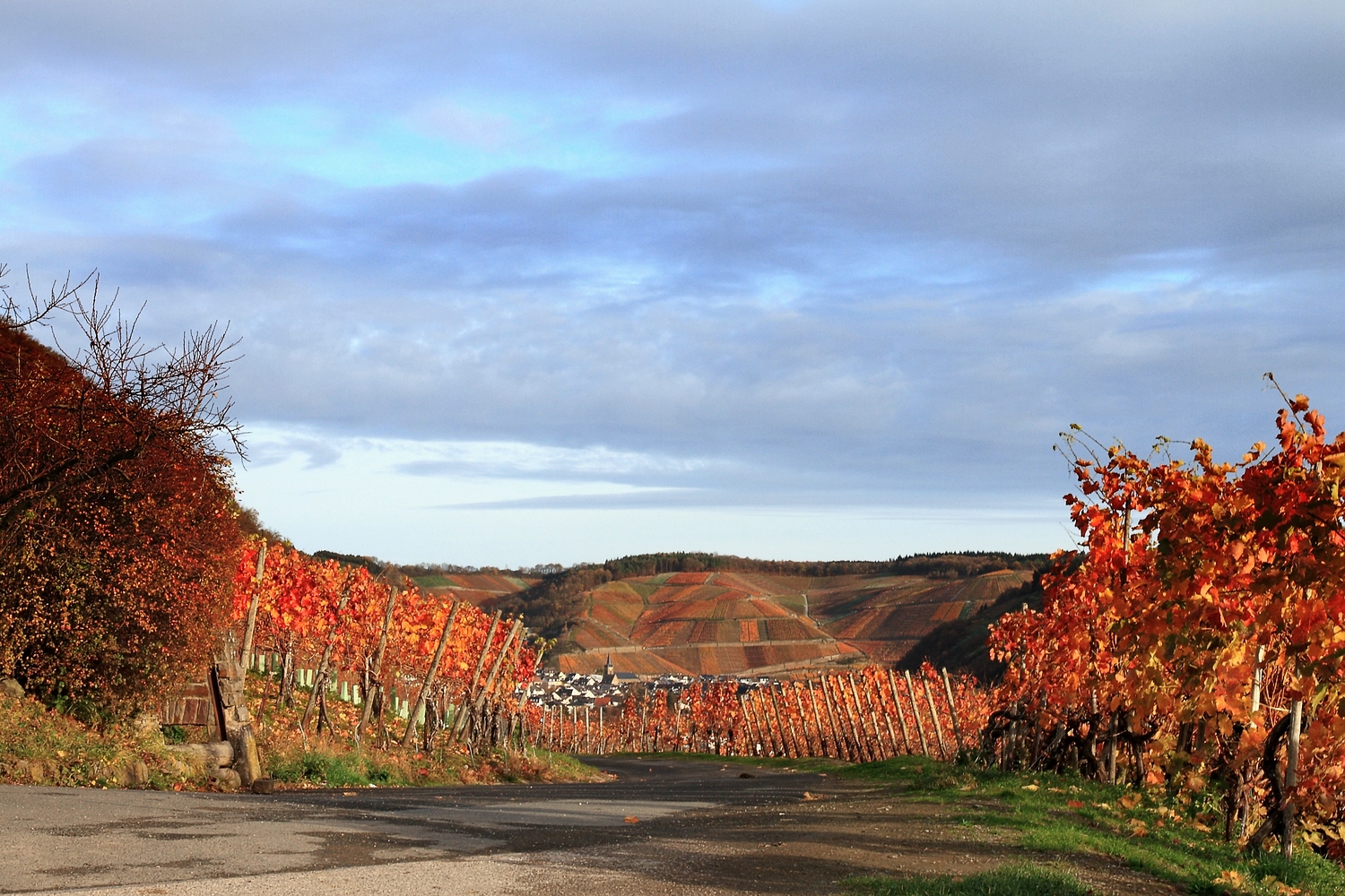 Herbstfarben