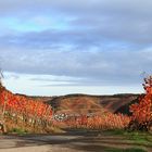 Herbstfarben