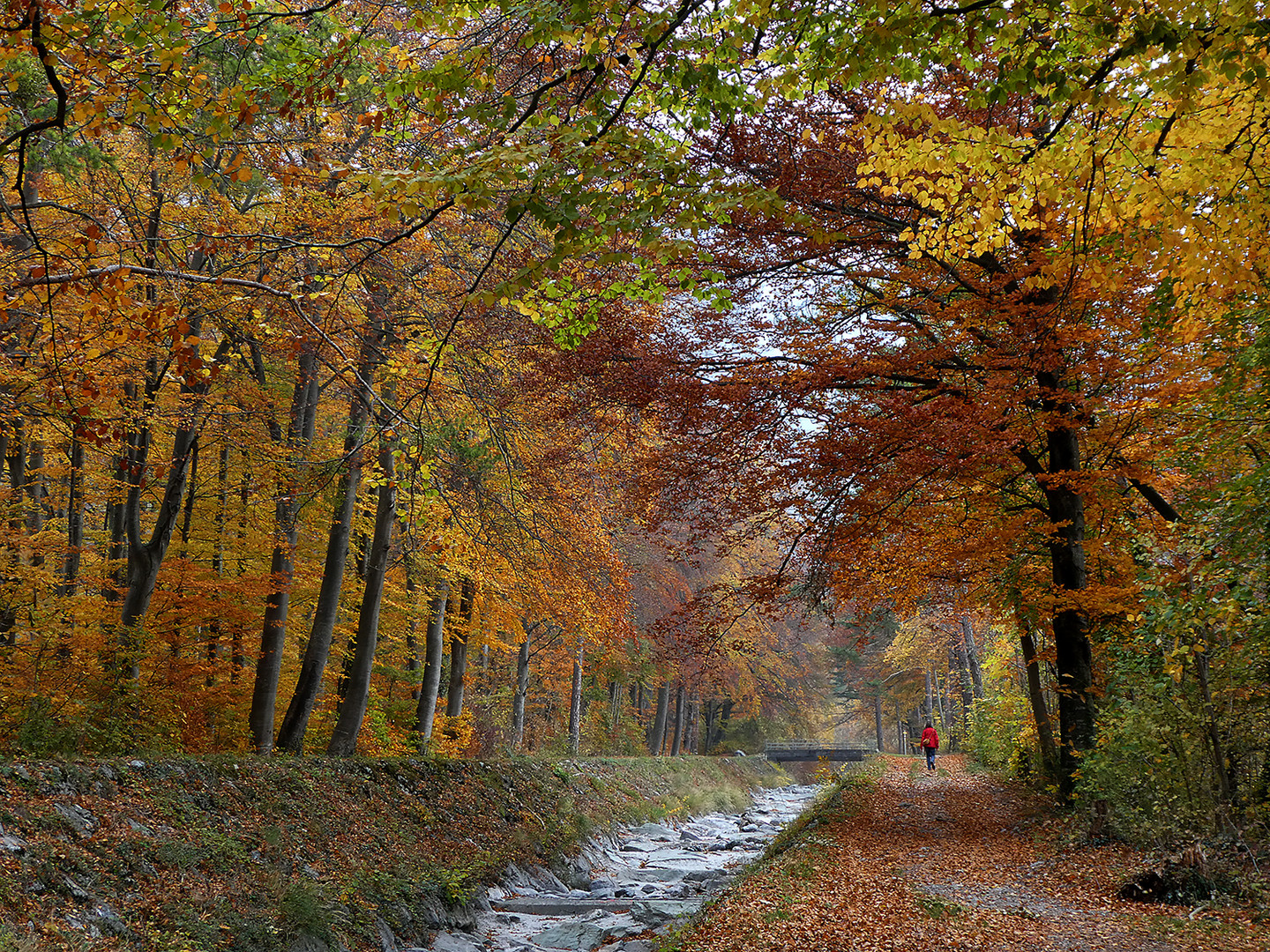 Herbstfarben