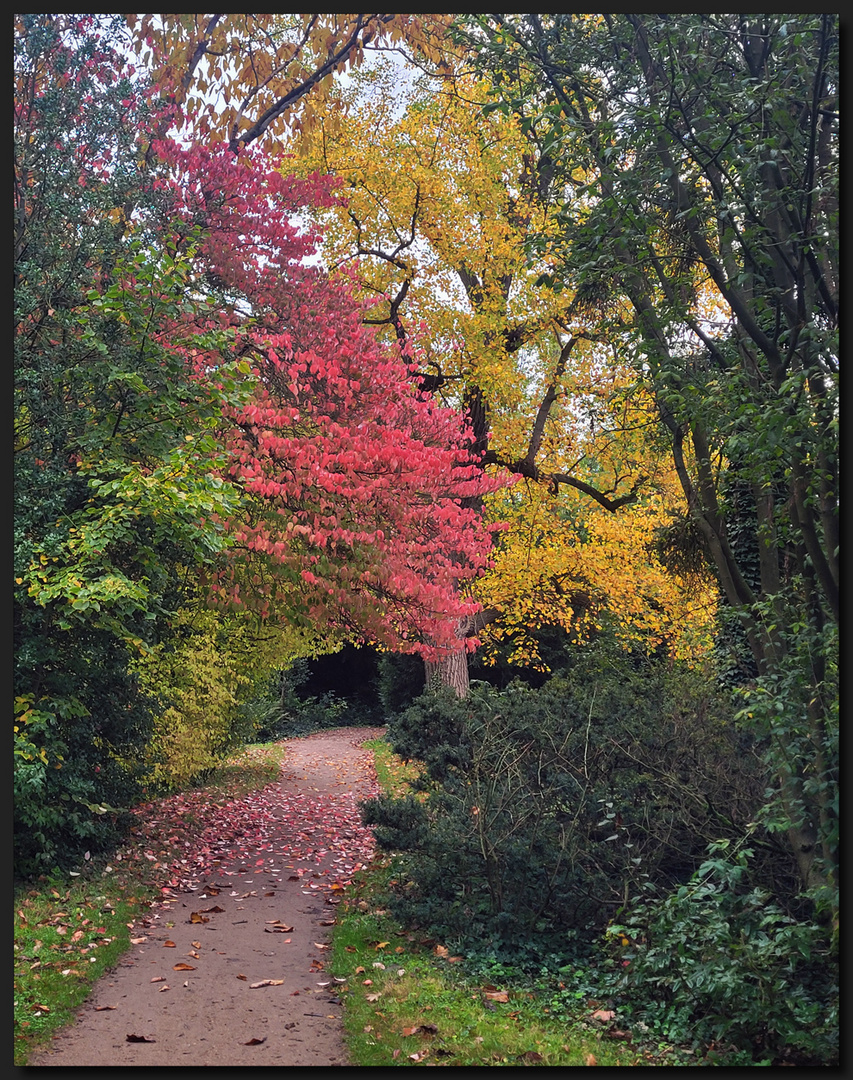 HerbstFarben...