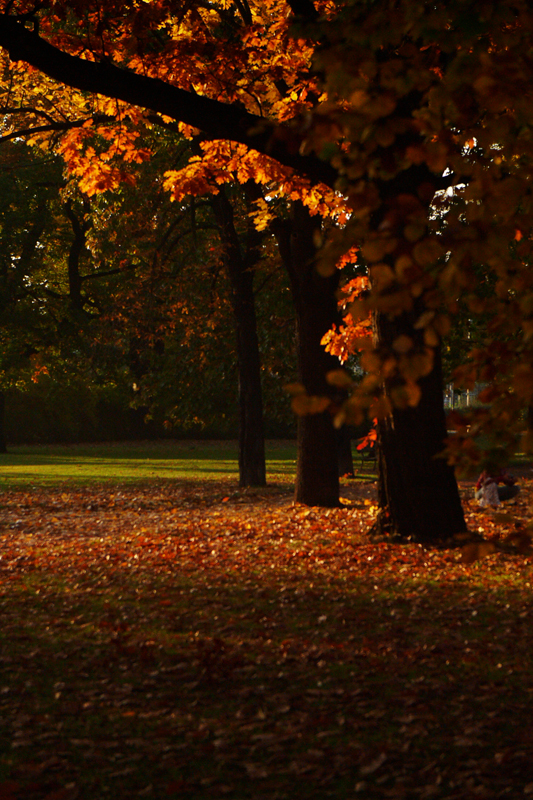 Herbstfarben