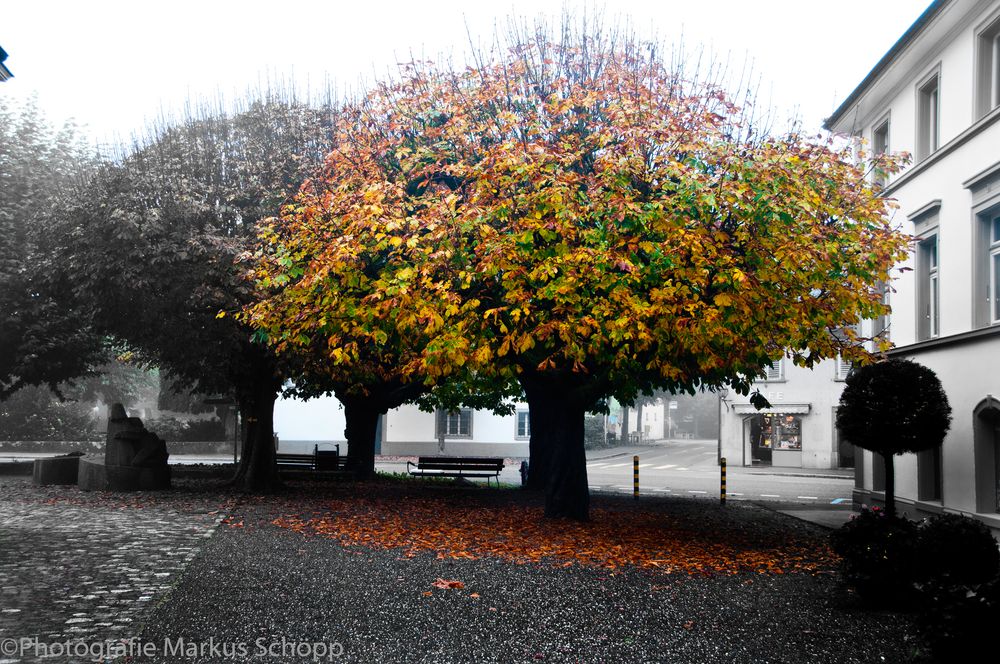 Herbstfarben