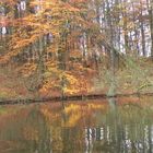 Herbstfarben