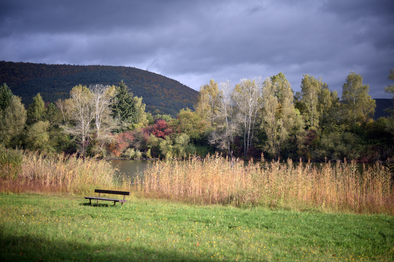 Herbstfarben