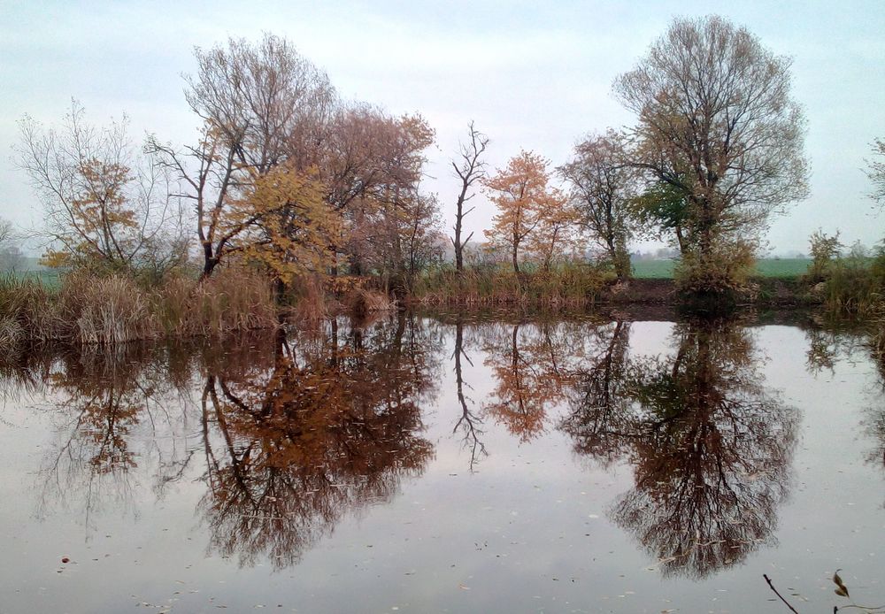 Herbstfarben