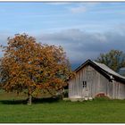 Herbstfarben